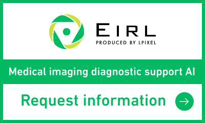 EIRL - Medical imaging diagnostic support AI Request Information